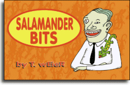 Salamander Bits book cover