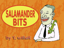 Salamander Bits cover/link