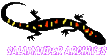 Salamander Bits Archive